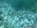 foto de buceo