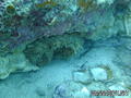 foto de buceo