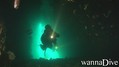 scuba diving photo