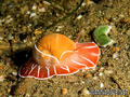foto de buceo