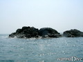 scuba diving photo
