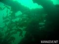 scuba diving photo