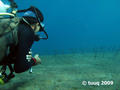 scuba diving photo