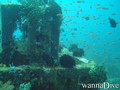 scuba diving photo