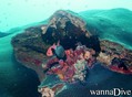 scuba diving photo