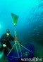 scuba diving photo