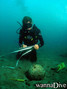 scuba diving photo