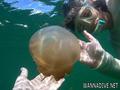 scuba diving photo