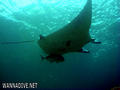 foto de buceo