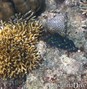 foto de buceo