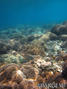 foto de buceo