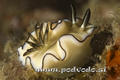 foto de buceo