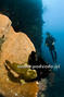 foto de buceo