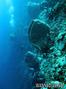 scuba diving photo