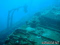 scuba diving photo