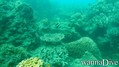 foto de buceo