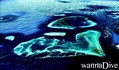 scuba diving photo