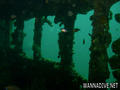 scuba diving photo