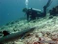 scuba diving photo