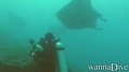 scuba diving photo