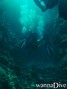 scuba diving photo