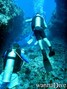 scuba diving photo