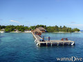 scuba diving photo