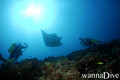 scuba diving photo