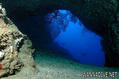 scuba diving photo