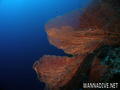 scuba diving photo
