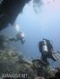 scuba diving photo