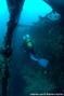 scuba diving photo