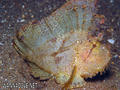 foto de buceo