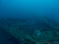 scuba diving photo