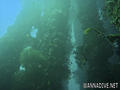 scuba diving photo