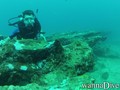 scuba diving photo