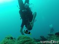 scuba diving photo