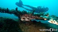 scuba diving photo