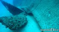 scuba diving photo