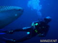 foto de buceo