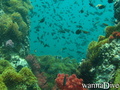 foto de buceo