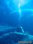 foto de buceo
