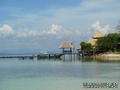 scuba diving photo
