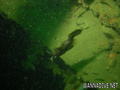 foto de buceo