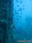 foto de buceo