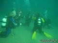 scuba diving photo