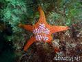 foto de buceo