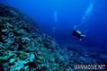 scuba diving photo