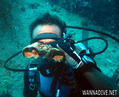 scuba diving photo