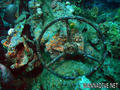 foto de buceo